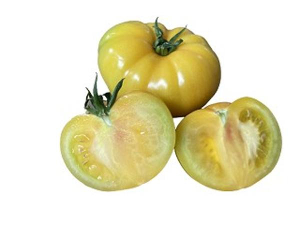 Produktfoto zu Fleischtomate gelb