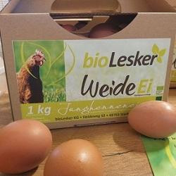 Produktfoto zu Junghennen-Eier 1kg-Paket