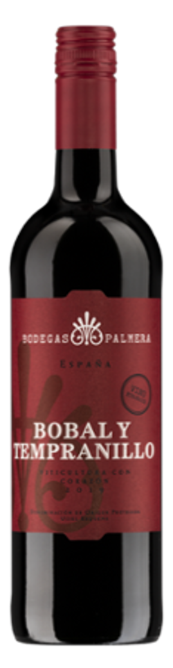 Produktfoto zu Bobal y Tempranillo Rotwein Kiste 6*0,75L