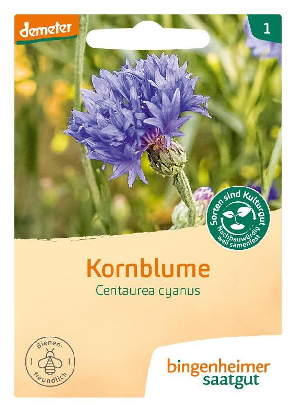 Produktfoto zu Saatgut Kornblume "Centaurea cyanus"