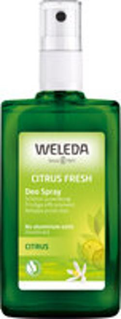 Produktfoto zu CITRUS FRESH Deo Spray 100ml