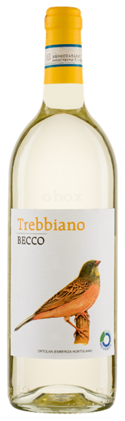 Produktfoto zu Becco Trebbiano 1L