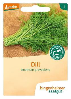 Produktfoto zu Saatgut Dill "Anethum graveolens"