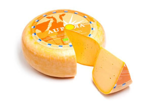 Produktfoto zu Aurora Gold Gouda Möhre