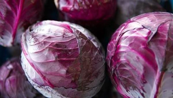 Produktfoto zu Rotkohl 700-1000g