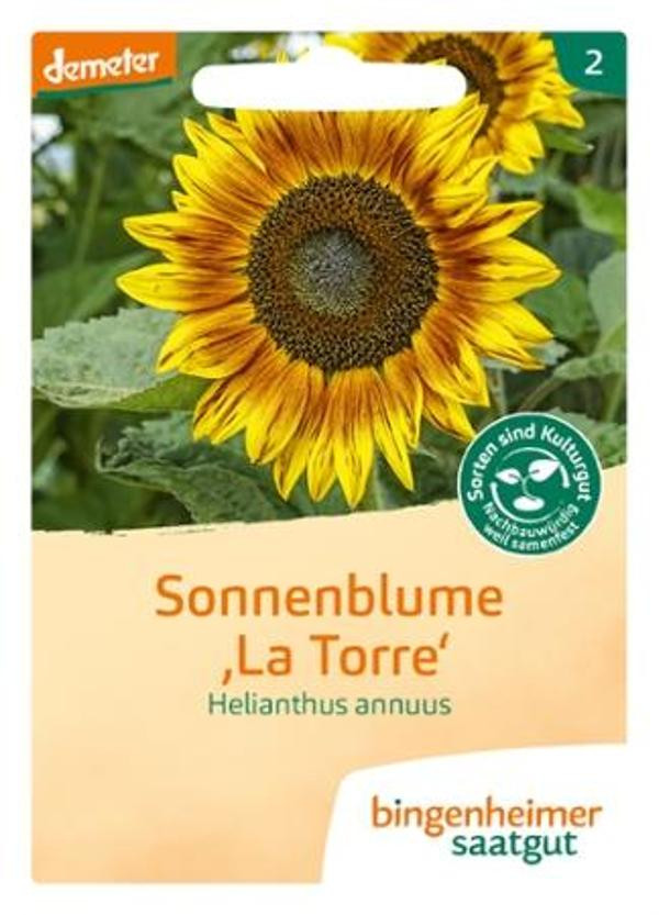 Produktfoto zu Saatgut Sonnenblume La Torre