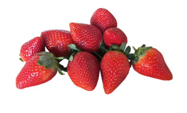 Produktfoto zu Erdbeeren 250g