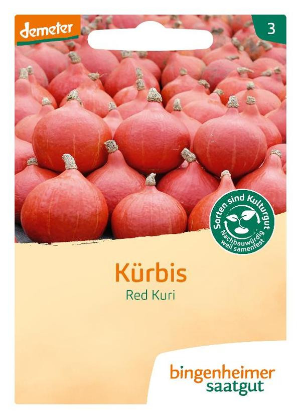 Produktfoto zu Saatgut Kürbis "Red Kuri"