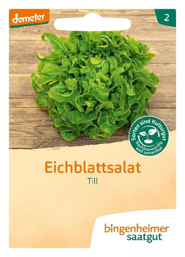 Produktfoto zu Saatgut Pflücksalat Till