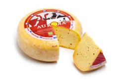 Produktfoto zu Aurora Gold Winterkäse