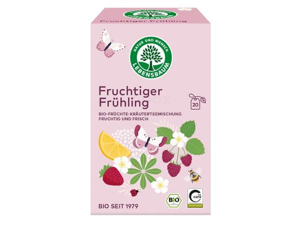 Produktfoto zu Fruchtiger Frühling 20 Beutel