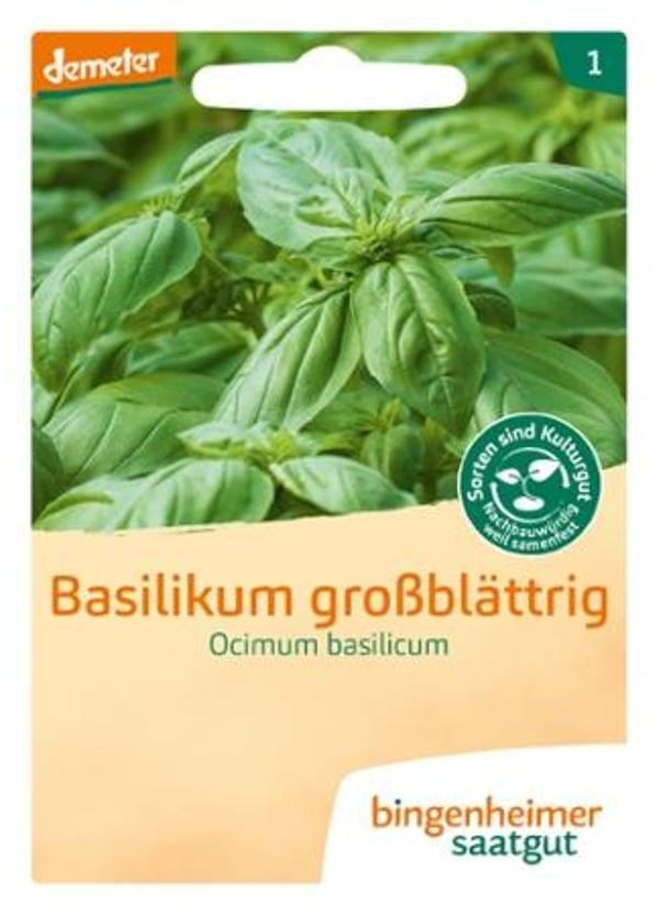 Produktfoto zu Saatgut Basilikum großblättrig "Ocimum basilicum"