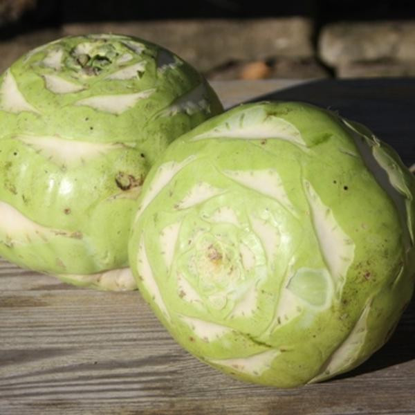 Produktfoto zu Schmelzkohlrabi