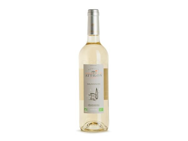 Produktfoto zu Sauvignon Blanc Domaine de L'Attilon 0,75L