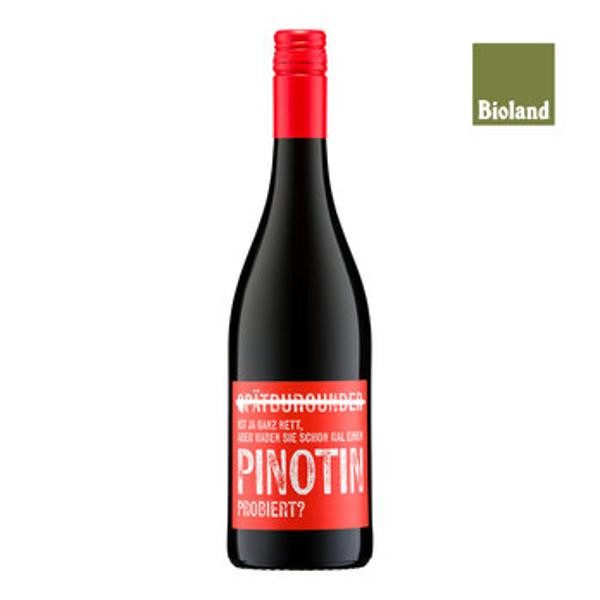 Produktfoto zu Galler Piwi Pinotin QbA trocken 0,75L